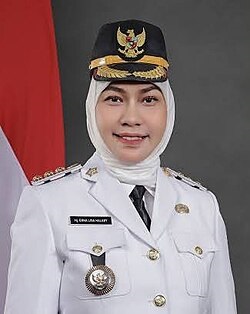 Hj Erna Lisa Halaby Cetak Sejarah Baru, Perempuan Pertama Pimpin Banjarbaru